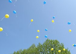 І звичний звук дзвінка нам сповіщав нове життя…