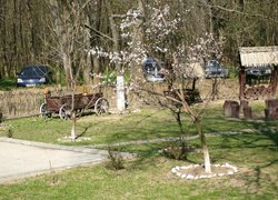 Допомога армії від Уманського НУС