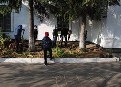Озеленення медичної гімназії
