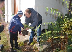 Озеленення медичної гімназії