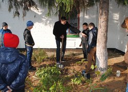 Озеленення медичної гімназії
