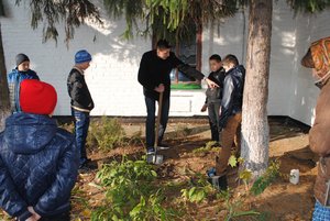 Озеленення медичної гімназії
