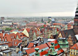 Студентка факультету економіки і підприємництва Уманського НУС підкорила поляків науковим завзяттям