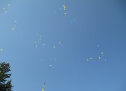 День знань в Уманському НУС