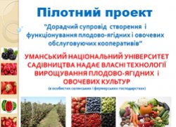 Навчальний семінар для представників сільських територіальних громад Уманського району