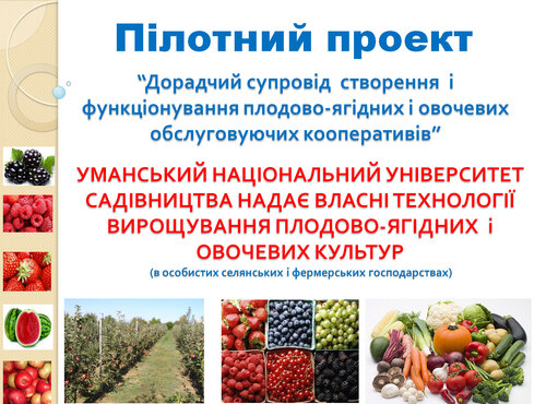 Навчальний семінар для представників сільських територіальних громад Уманського району