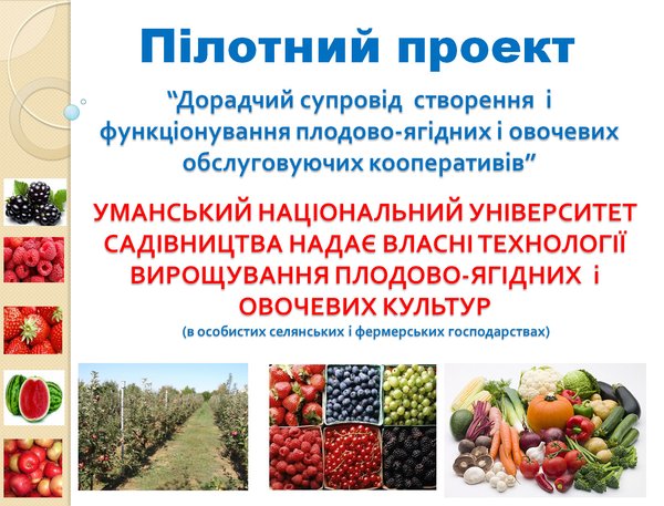 Навчальний семінар для представників сільських територіальних громад Уманського району