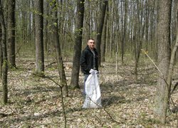 Впорядкування території Білогрудівського лісу