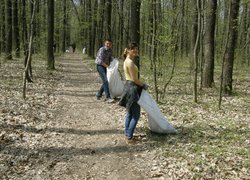 Впорядкування території Білогрудівського лісу