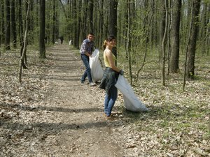 Впорядкування території Білогрудівського лісу