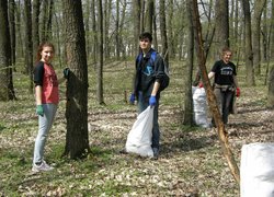 Впорядкування території Білогрудівського лісу