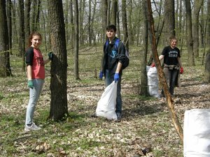 Впорядкування території Білогрудівського лісу