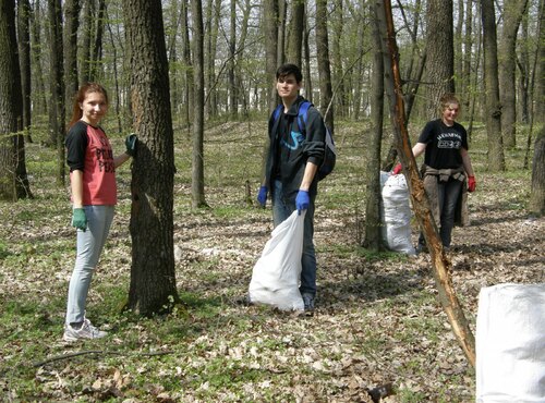 Впорядкування території Білогрудівського лісу