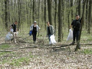 Впорядкування території Білогрудівського лісу