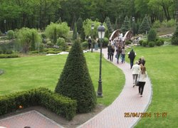 Ландшафти та паркові пейзажі Межигір'я