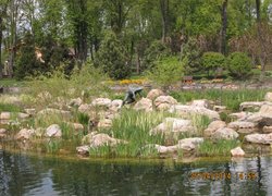 Ландшафти та паркові пейзажі Межигір'я