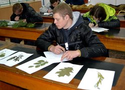 Всеукраїнська студентська олімпіада