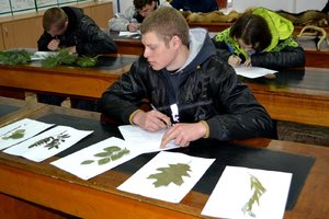 Всеукраїнська студентська олімпіада