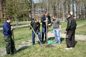 Добрі справи факультету лісового та садово-паркового господарства