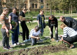 Добрі справи факультету лісового та садово-паркового господарства