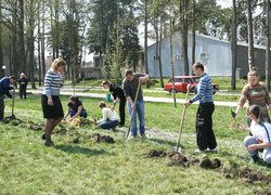 Добрі справи факультету лісового та садово-паркового господарства