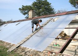 Добрі справи факультету лісового та садово-паркового господарства