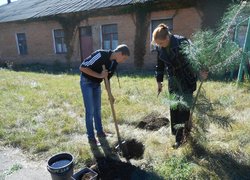 Акція “Посади дерево”