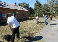 Акція “Посади дерево”