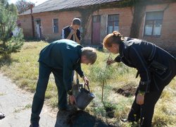 Акція “Посади дерево”