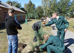 Акція “Посади дерево”