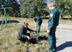 Акція “Посади дерево”