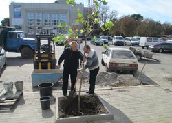 Озеленення центральної частини міста Умань