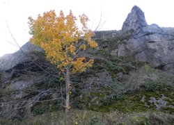 Екскурсійна подорож студентів Уманського НУС визначними місцями Поділля