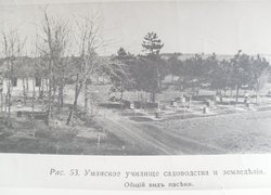 Бджільництво в Уманському училищі садівництва і землеробства