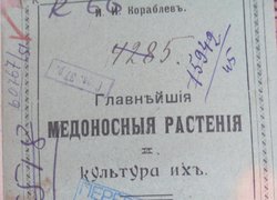 Бджільництво в Уманському училищі садівництва і землеробства