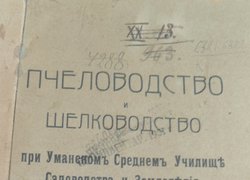 Бджільництво в Уманському училищі садівництва і землеробства
