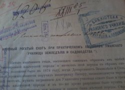 Брі, Камамбер, Невшатель: виробництво молока та молочної продукції в Уманському училищі землеробства і садівництва