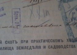 Брі, Камамбер, Невшатель: виробництво молока та молочної продукції в Уманському училищі землеробства і садівництва