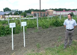 День поля в Уманському НУС