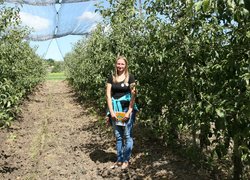 День поля в Уманському НУС