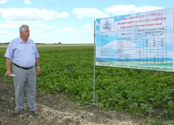 День поля в Уманському НУС