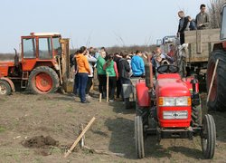 Яблуневому саду Уманського НУС цвісти!