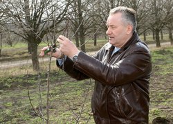 Яблуневому саду Уманського НУС цвісти!