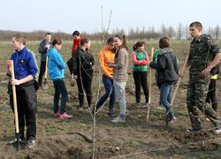 Яблуневому саду Уманського НУС цвісти!