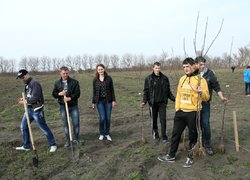 Яблуневому саду Уманського НУС цвісти!