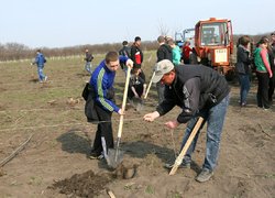 Яблуневому саду Уманського НУС цвісти!