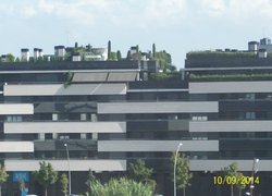 Сад на даху одного з корпусів університету