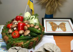 В Уманському НУС відбувся традиційний День відкритих дверей