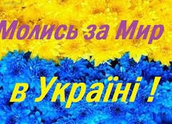 Конкурс стіннівок на факультеті агрономії