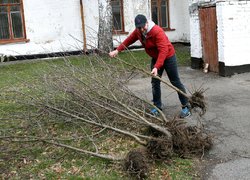 Акцію «Посади дерево» продовжено у ЗОШ № 4